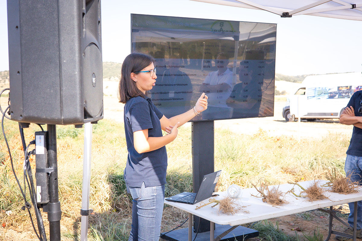 Profesional de Bayer presenta los resultados de la estrategia nematicida durante una jornada de campo sobre tomate de industria.